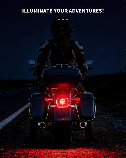 LOYO Smoked LED Tail Light with Turn Signal Brake Light Compatible with Harley Dyna Sportster 883 1200 Road King Electra Glides Tour Glides Road Glides Nightster Street Bob